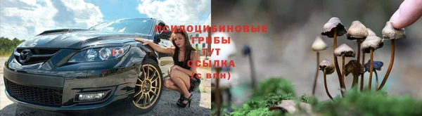 мескалин Новокубанск