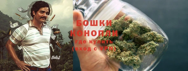 трава Нязепетровск