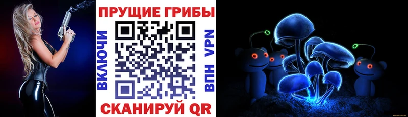 Галлюциногенные грибы MAGIC MUSHROOMS  shop состав  Петровск-Забайкальский 